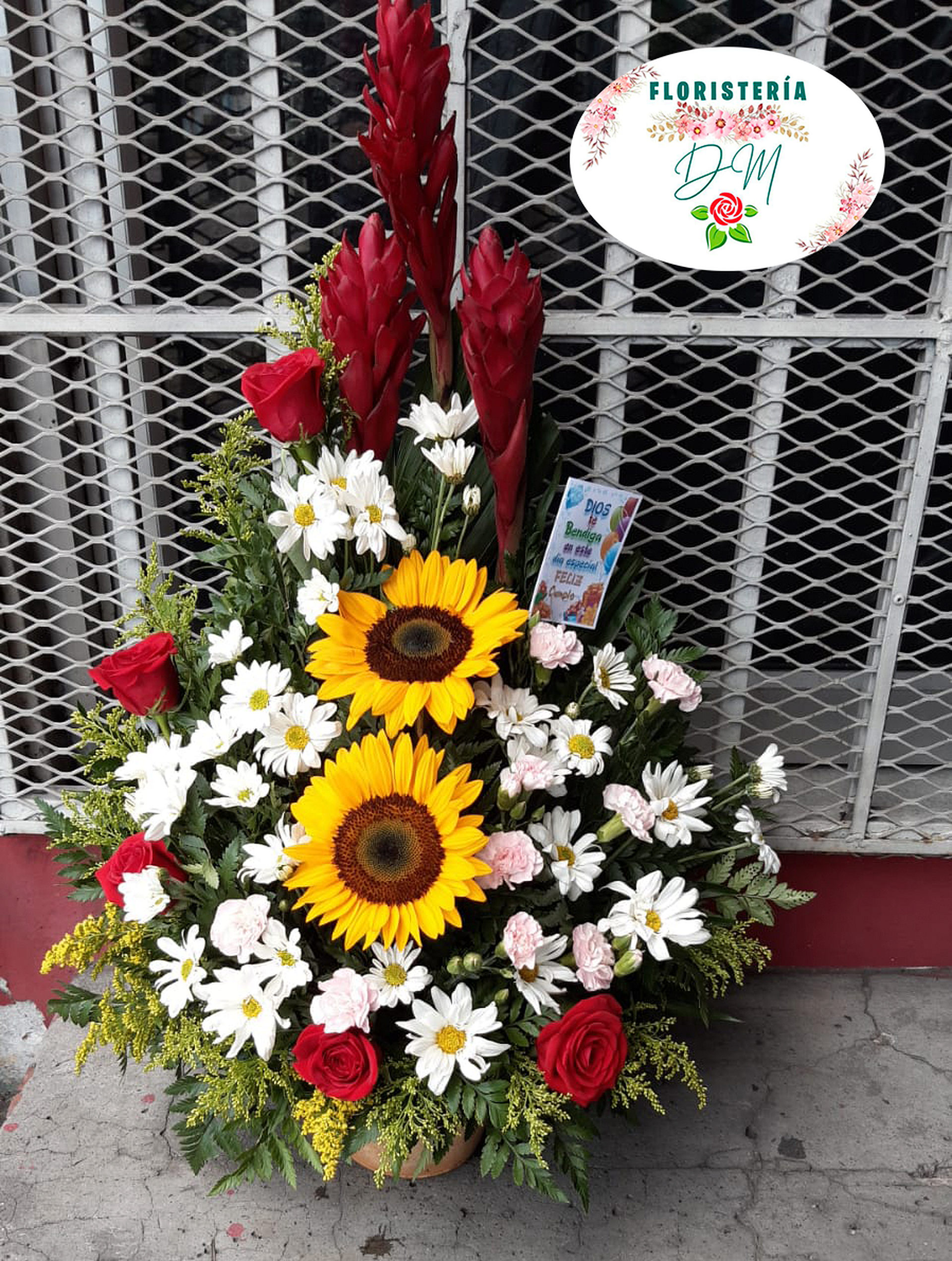 IMG 20230905 WA0041 resultado atuy3z