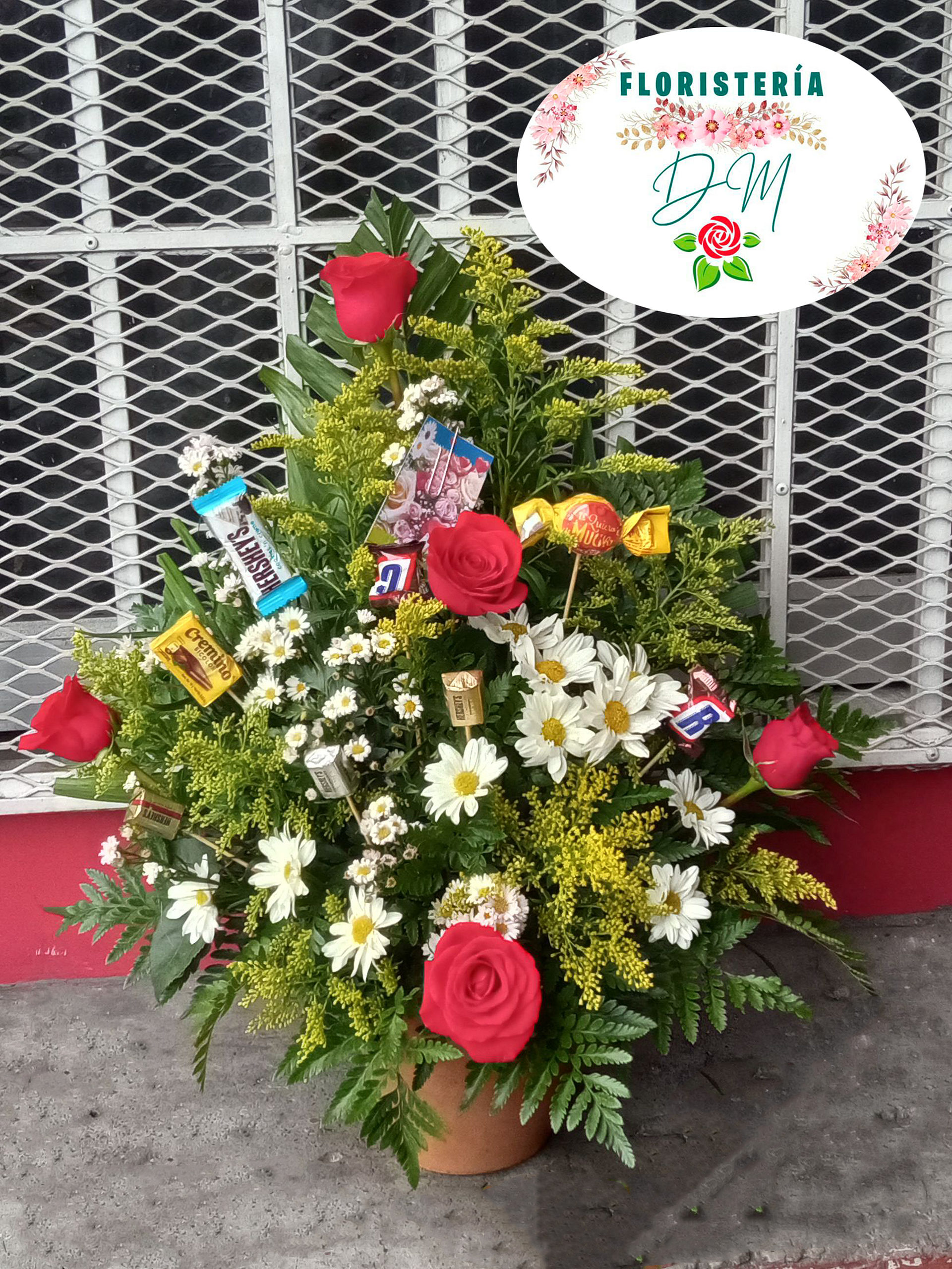 IMG 20211111 162001 resultado lqlnhl