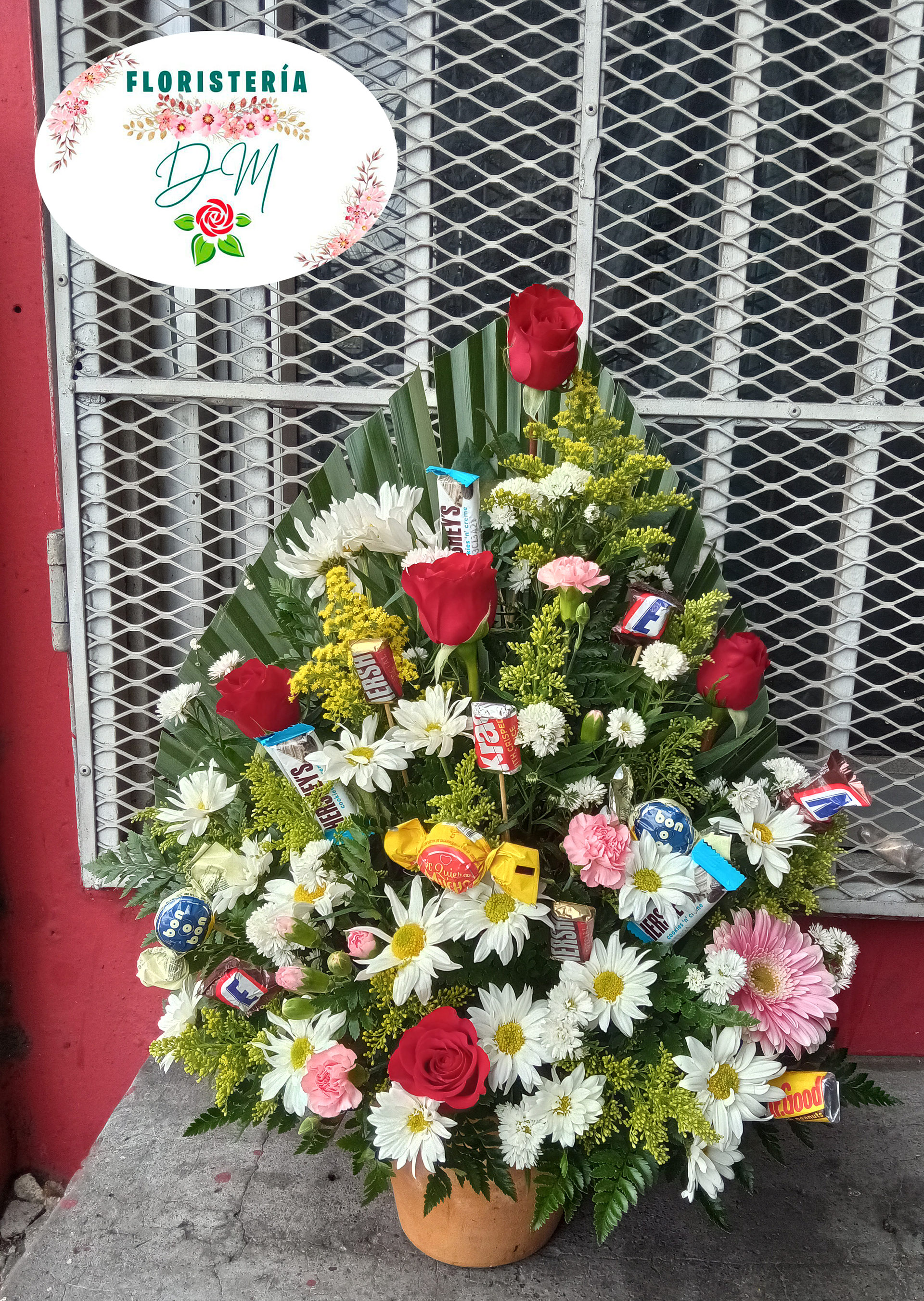 IMG 20220215 142518 copia resultado pmwuzy