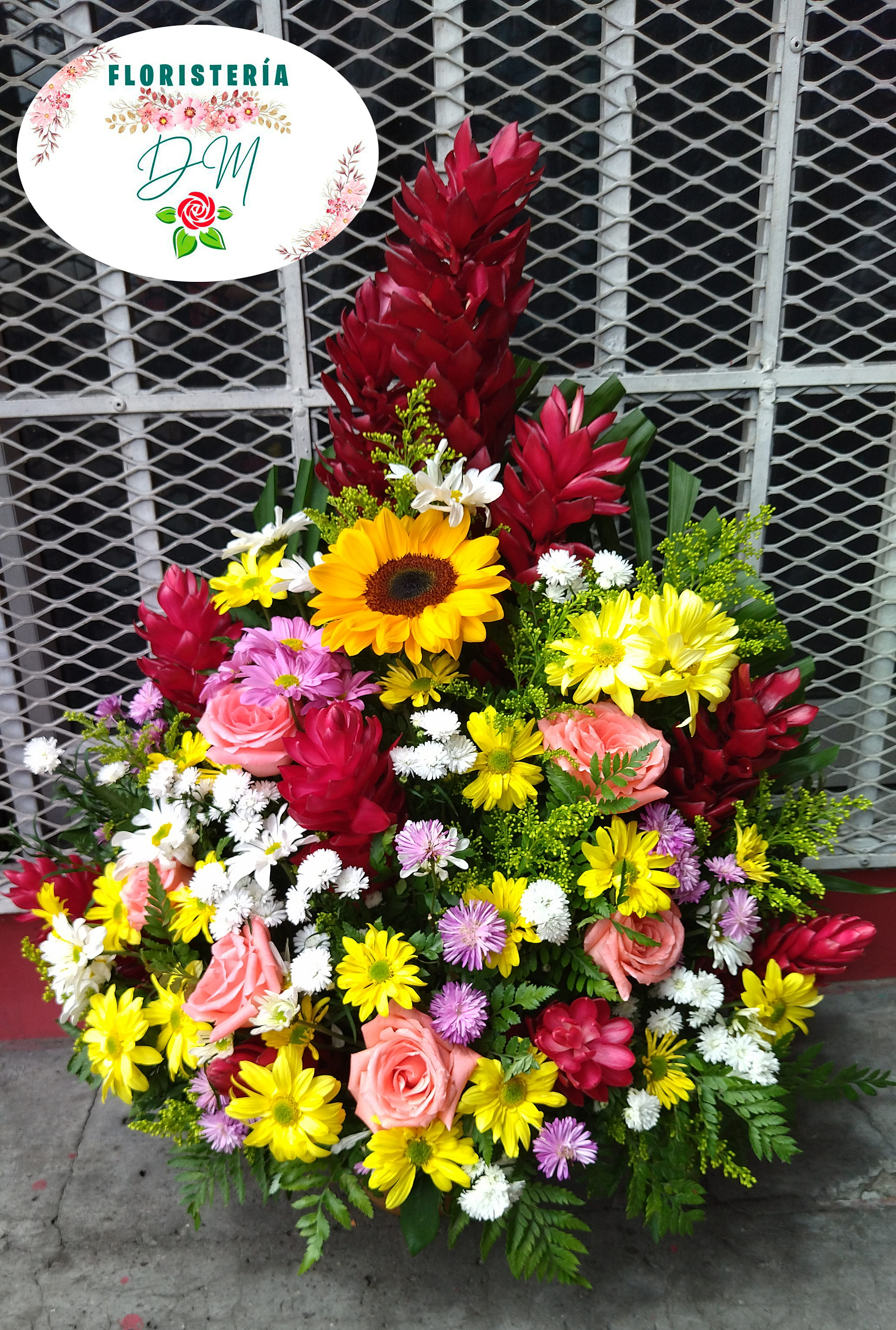 IMG 20220630 102325 copia resultado wmbntv