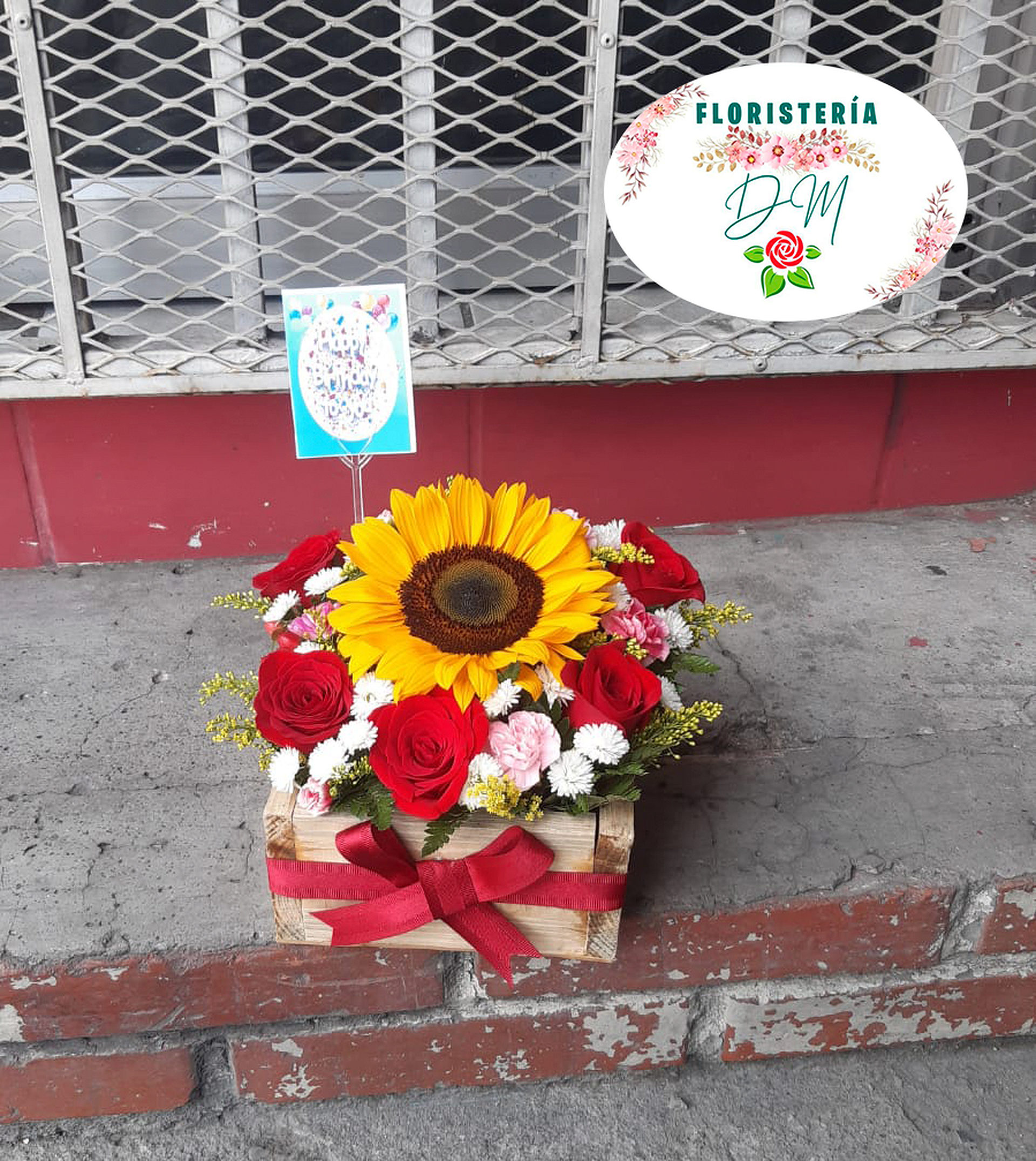 WhatsApp Image 2023 08 03 at 12.09.22 PM resultado oioyd9