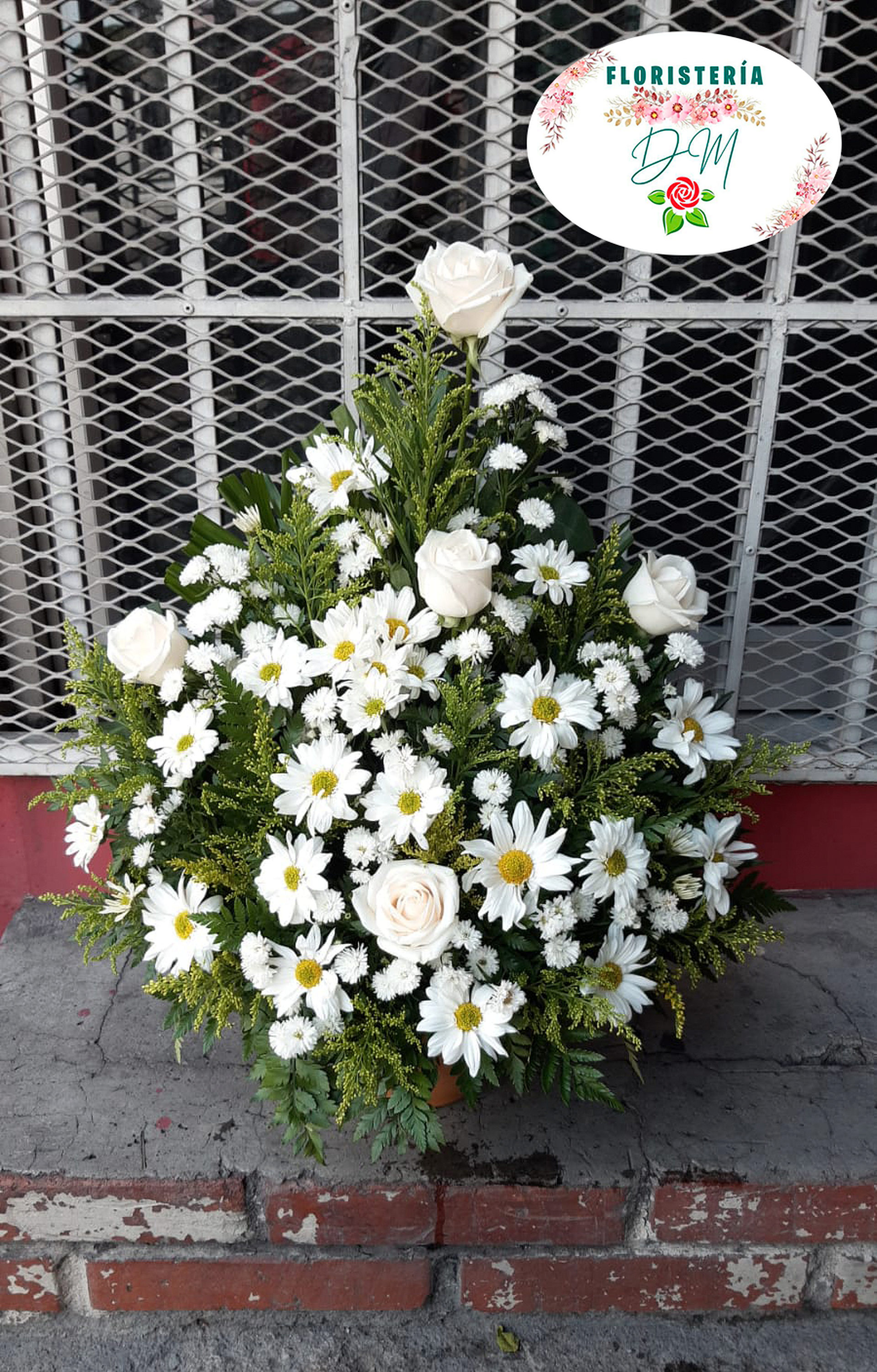 WhatsApp Image 2023 10 06 at 2.46.06 PM resultado kavz3b