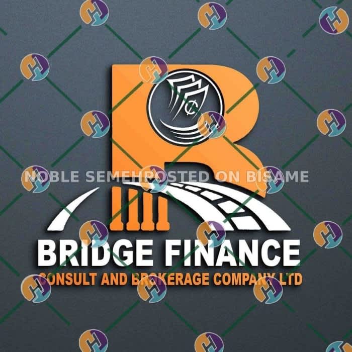 Bridge Finance Consult
