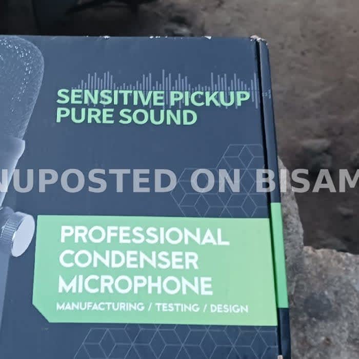 Professional Condenser Microphone