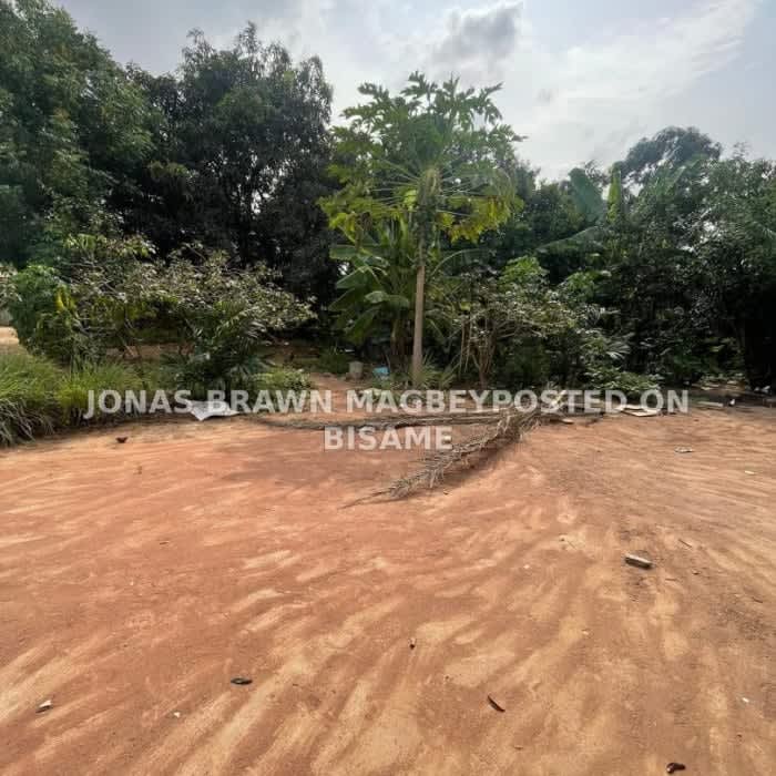 Land For Sale at Taifa Burkina
