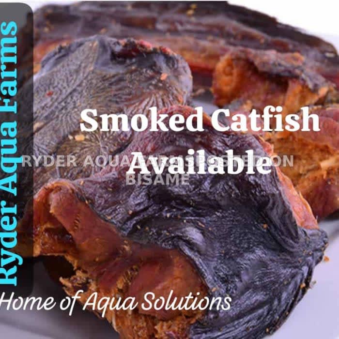 Fresh Water Fish
