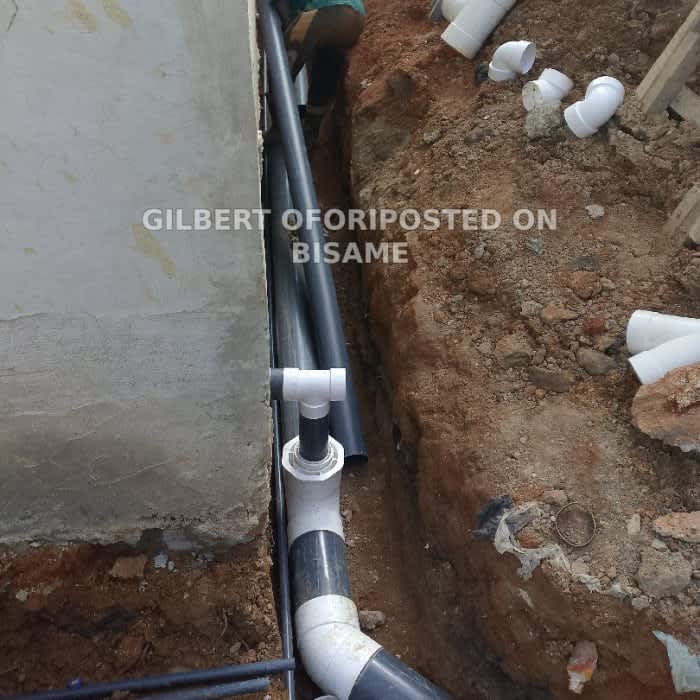 A Dynamic Plumbing World