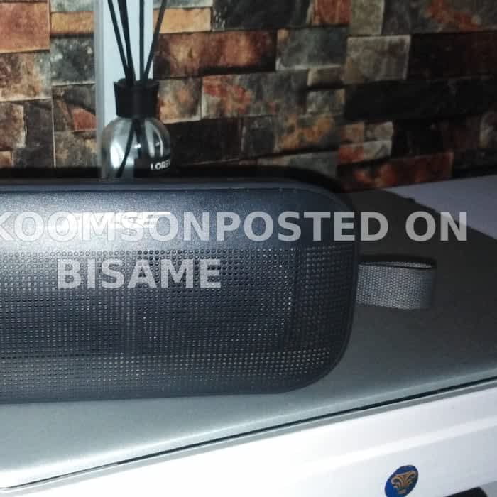 Bose Flex SE SoundLink