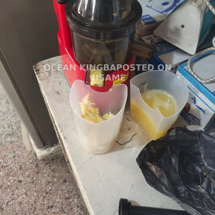 Electric Juicer for sale