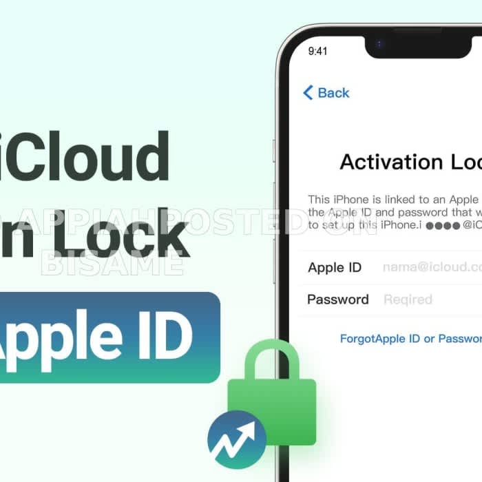 Icloud bypass Service