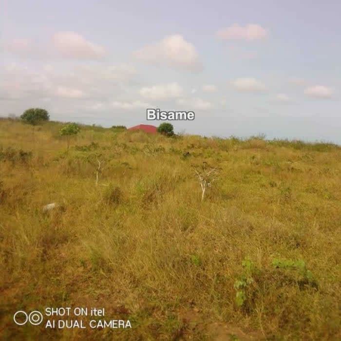 Plots Of Land 