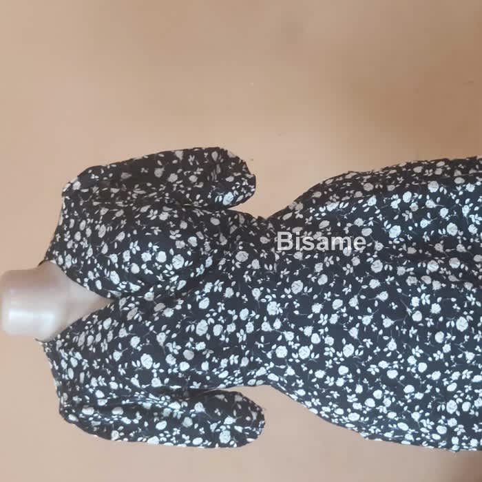 Ms