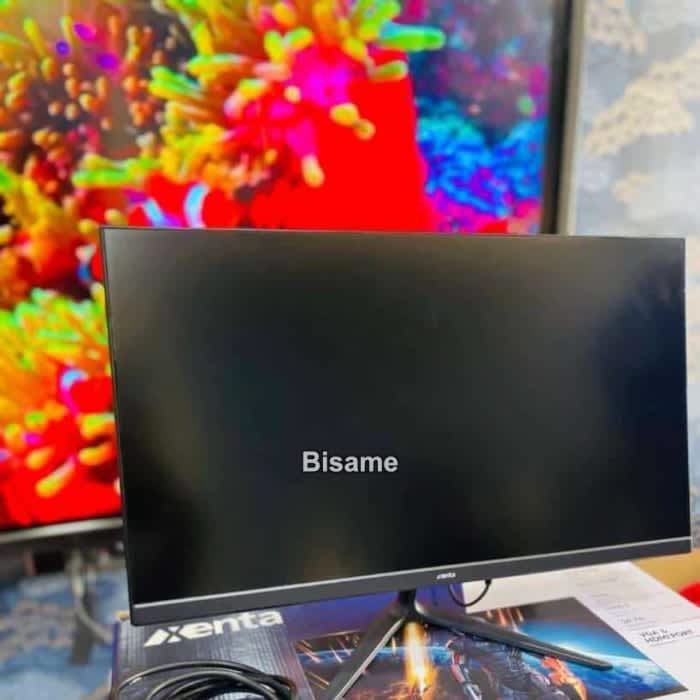 Xenta Ultra FHD Mon215 Gaming Monitor