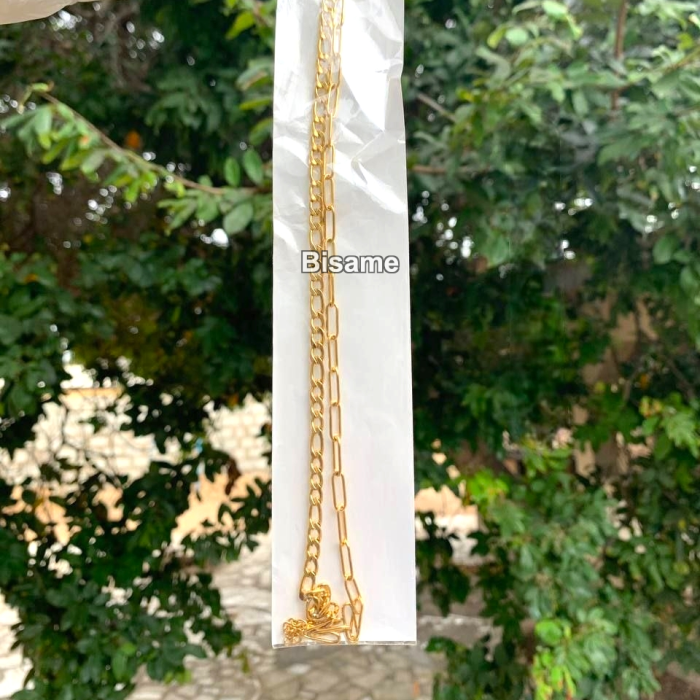Paperclip Gold Doubled Anklet