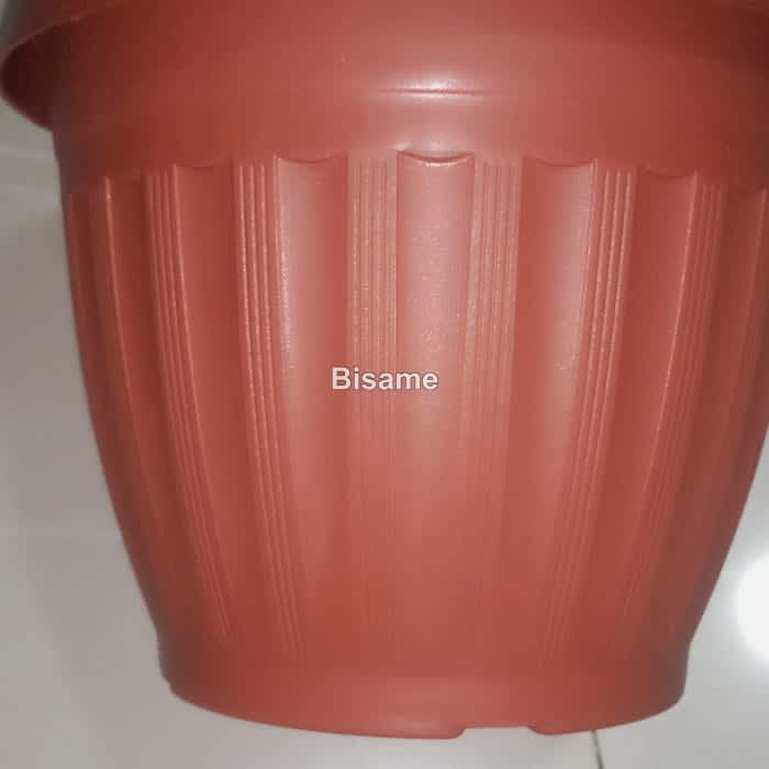 Flower Pots