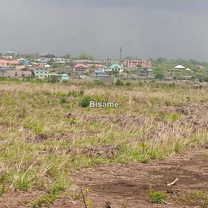 Serviced Plots For Sale
