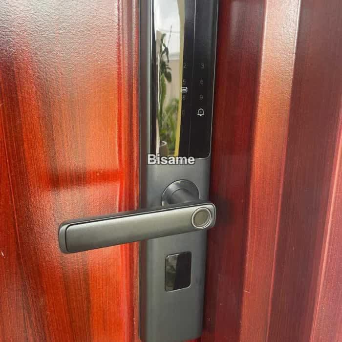 Tuya smartlock