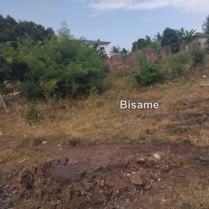 2 plots of land 