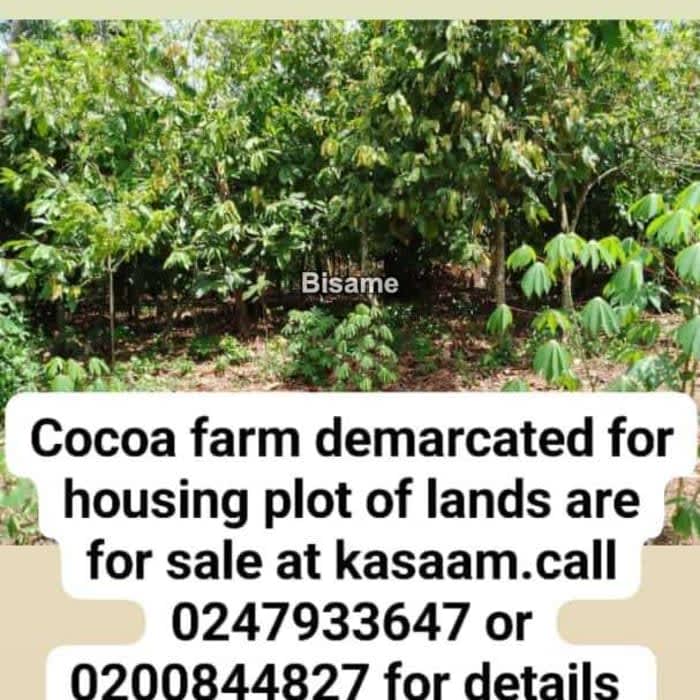 Nana Osei Real Estate Ltd