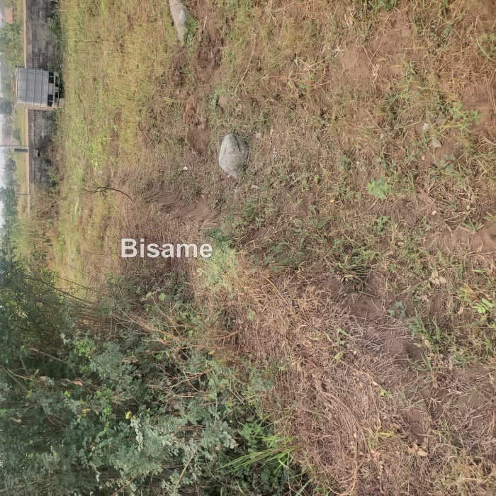Land For Sale At Afienya Adjemador 