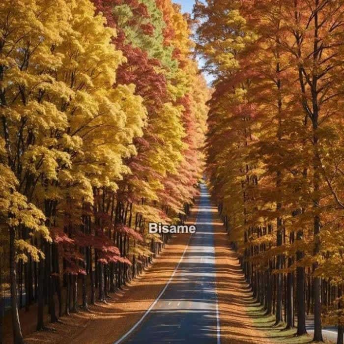 Transportation
