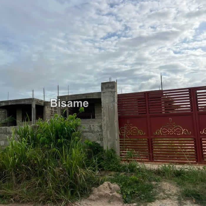 Shee NARTEY Real Estate 