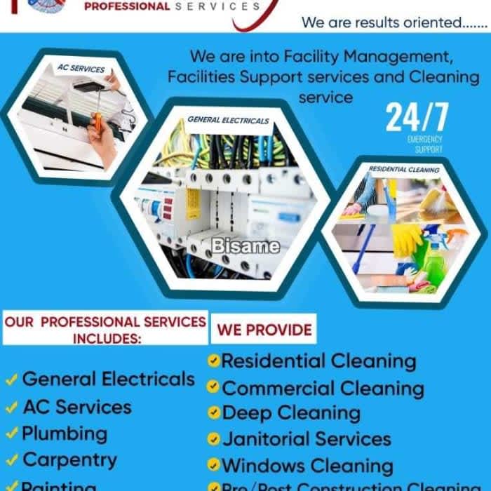Willsther Professional Services 