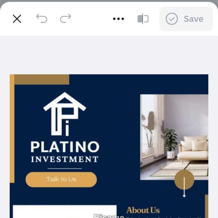 Platino Investment 