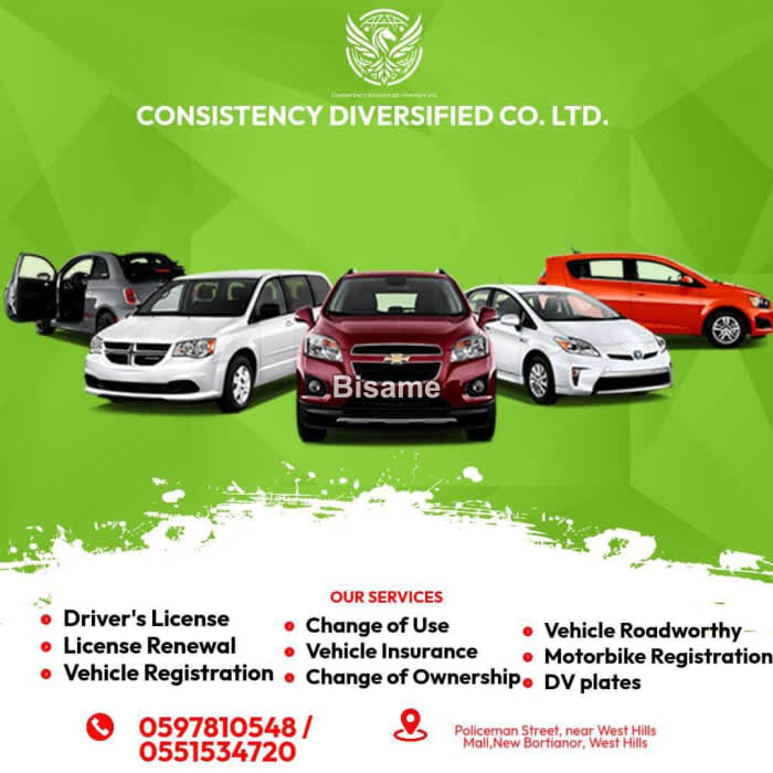 Consistency Diversified Limited Company 