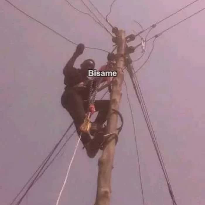 Yawowner electrical engineering 