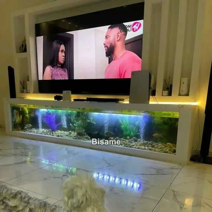 Natural View Aquarium