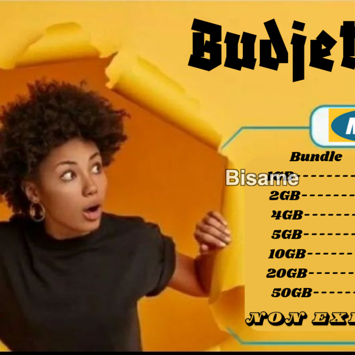 BudjetBytes Unlimited Data 
