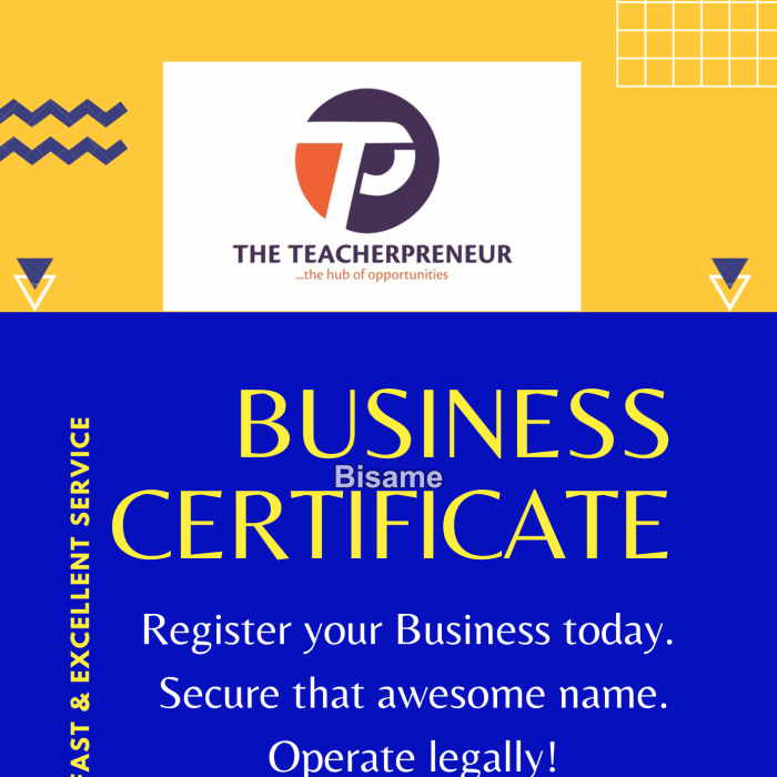 The Teacherpreneur 