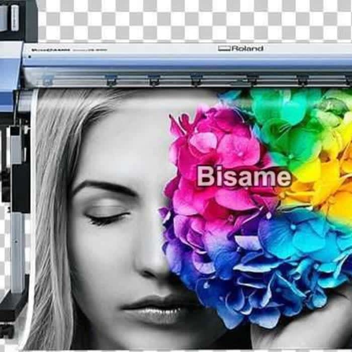 PERRO GRAPHICS