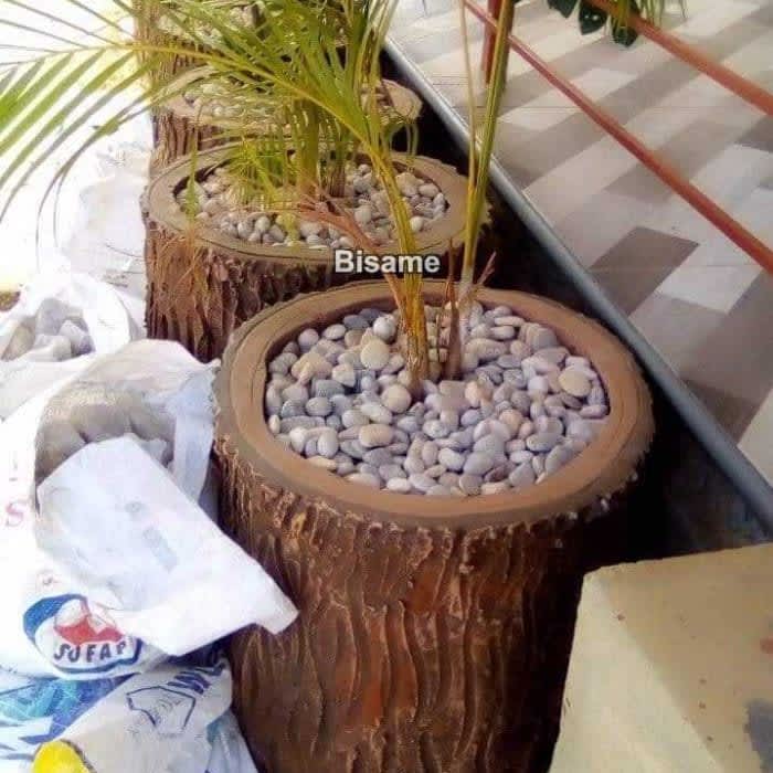Blessed Horticulture Company 