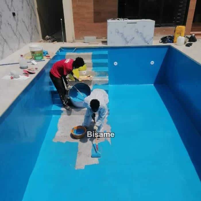 Swimming Pool Masters 