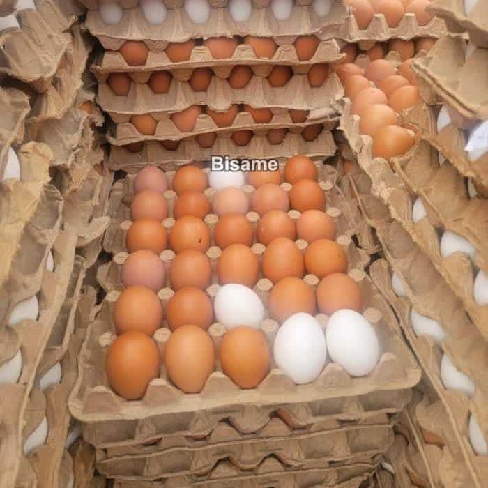 Eggs Suppliers GH 
