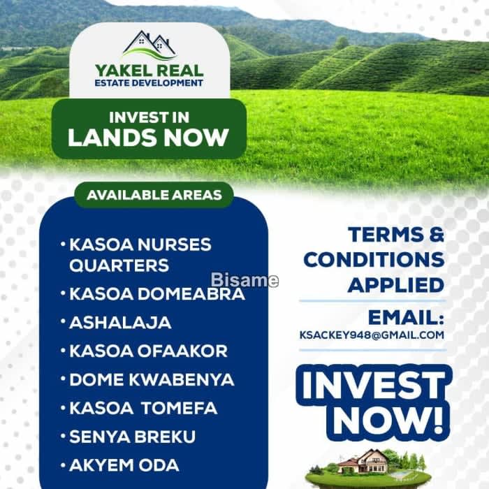 YAKEL REAL ESTATE DEVELOPMENT 