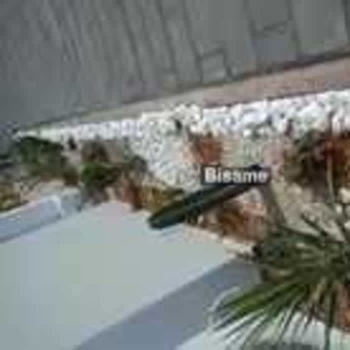 Blessed Horticulture Company 