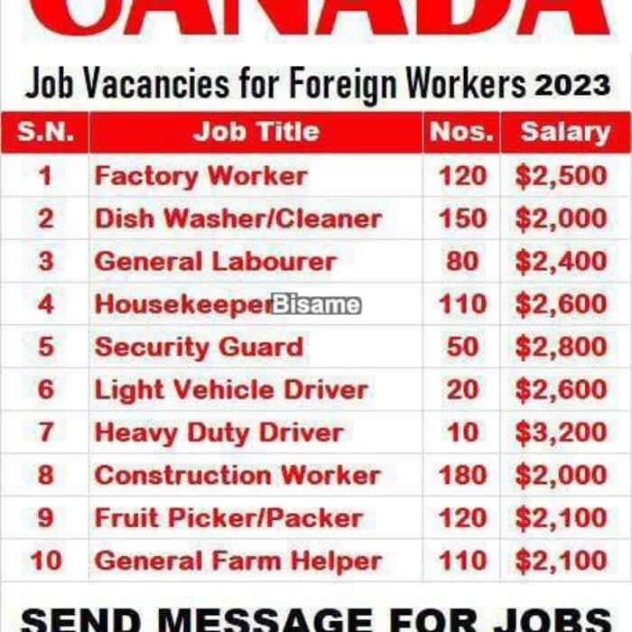 DIVINE WORK AND PAY TRAVEL AGENCY 