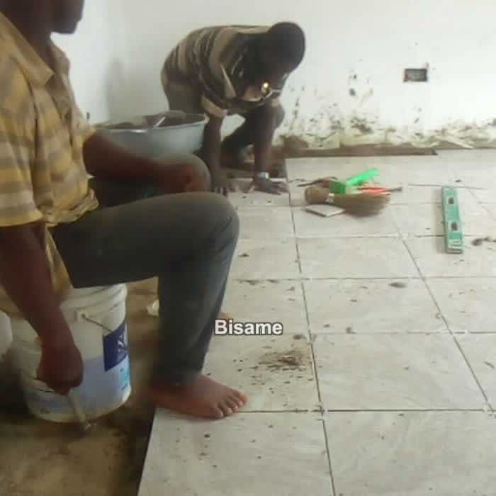 Shadrach Tiling 