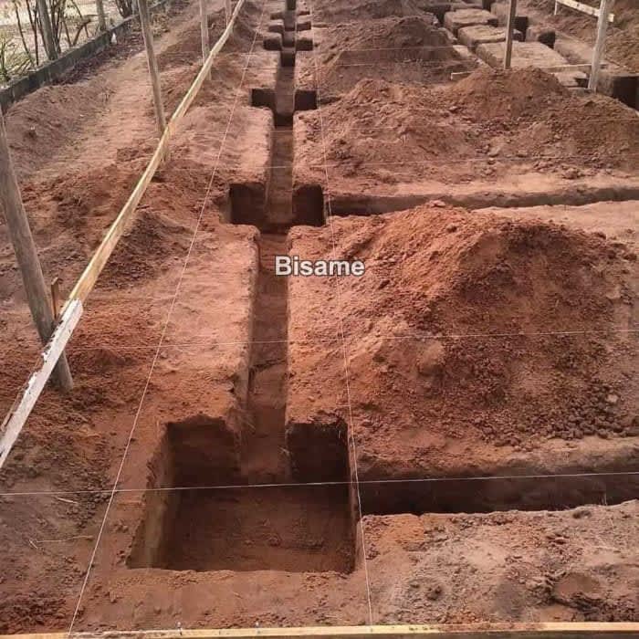 THE WORLD  CONSTRUTION 
