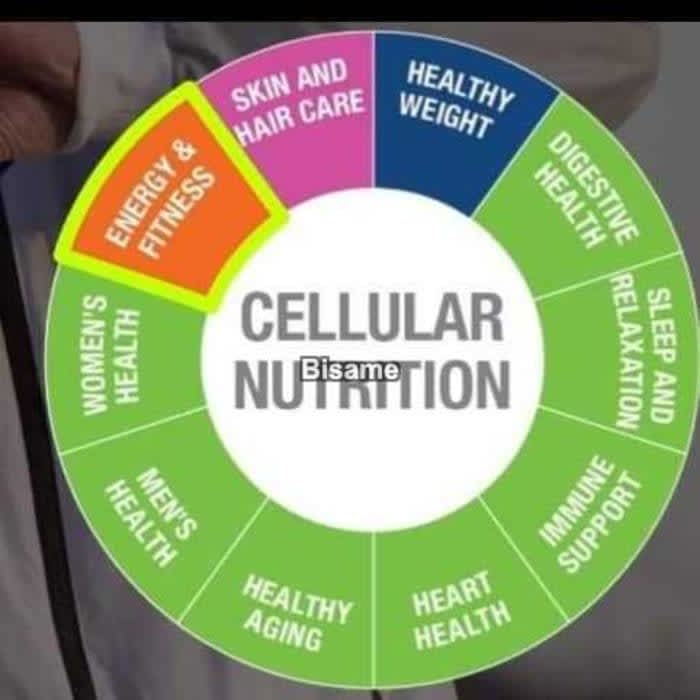 Coach Mutawakil Food And Nutrition Center 