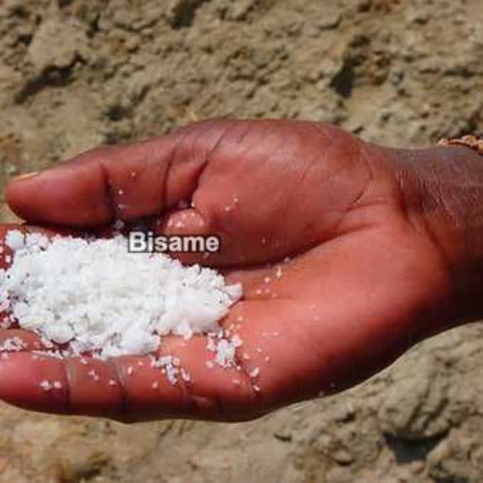 Salt Seller 