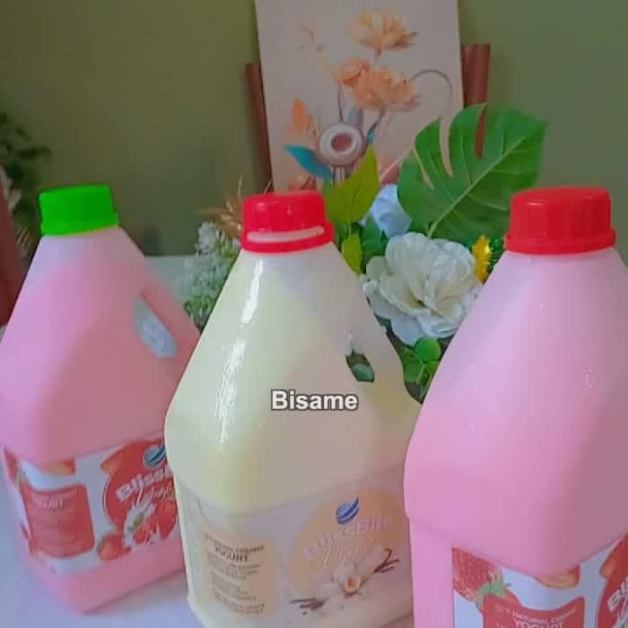 Blissbite Yoghurt - delight your taste 