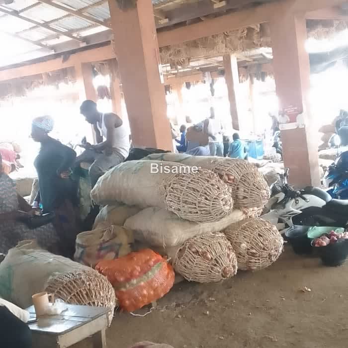 Onions sale and Delivery 