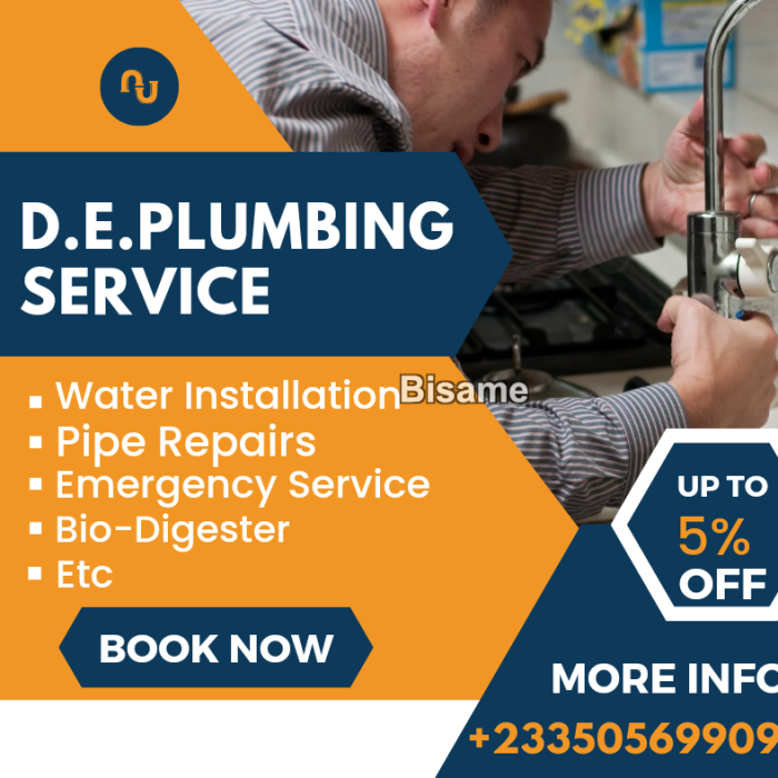 D.E.PLUMBING SERVICE 