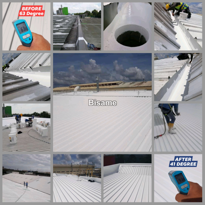 PPS Painting & Building