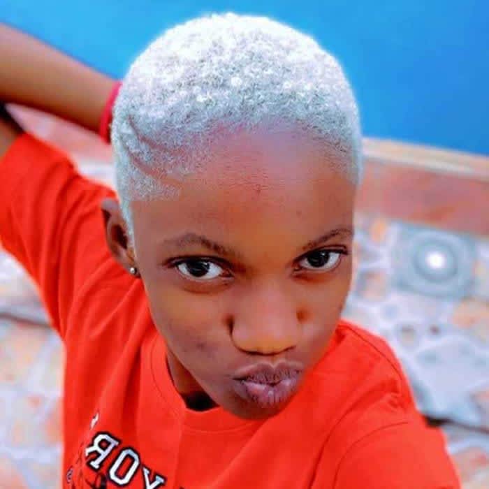 Mhamies Gyal's profile picture