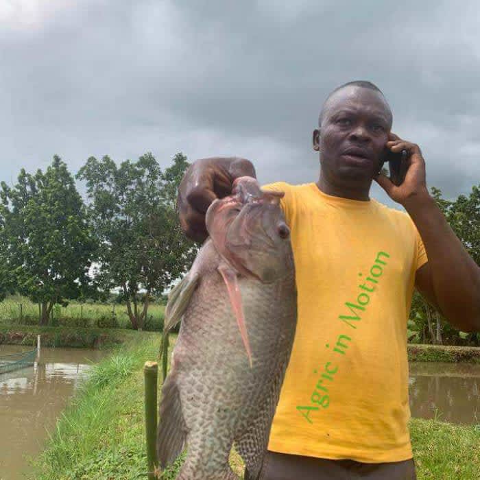 Agric In Motion Ltd's profile picture